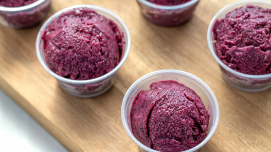 Wild Blueberry Frozen Yogurt