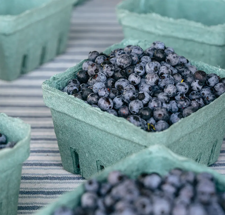 blue berries in basket