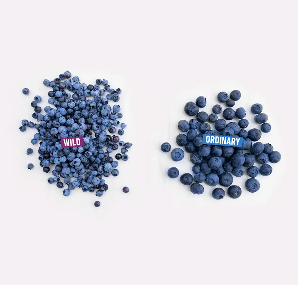 two piles of blueberries